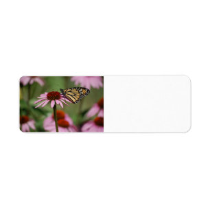 Étiquette Papillon Monarque sur Fleur
