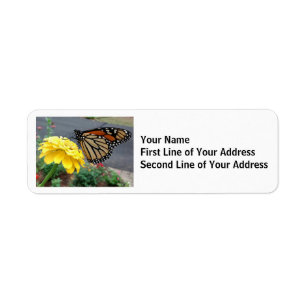 Étiquette Papillon monarque sur Zinnia jaune