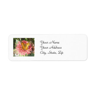 Étiquette Papillon sur une Zinnia rose