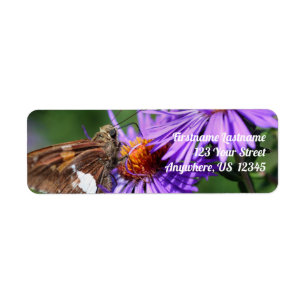 Étiquette Papillon sur Wild Purple Aster Flower Adresse