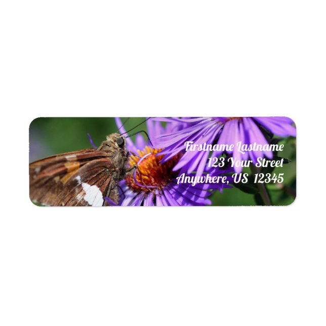 Étiquette Papillon sur Wild Purple Aster Flower Adresse (Devant)