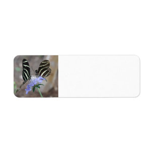 Étiquette Papillons Zebra