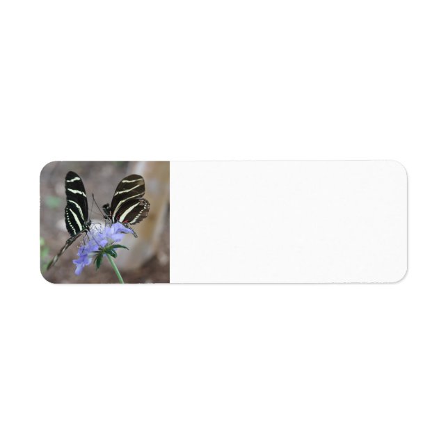Étiquette Papillons Zebra (Devant)