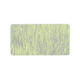 Étiquette Pare-brise