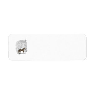 Étiquette Paso Fino Cheval Art