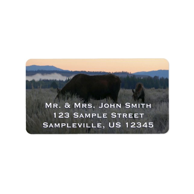 Étiquette Pâturage d'orignaux au lever du soleil à Grand Tet (Devant)