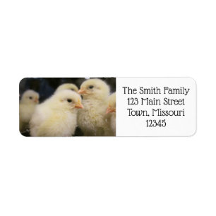 Étiquette Peeps