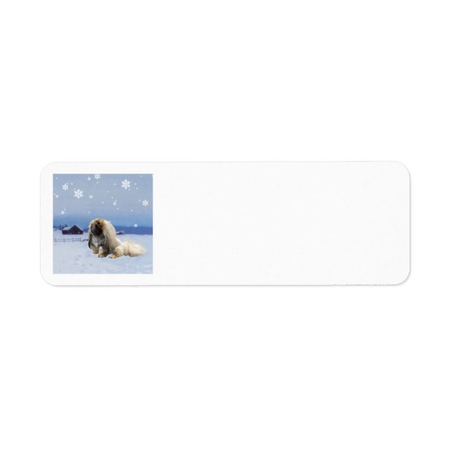 Étiquette Pékinois en hiver (Devant)