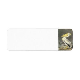 Étiquette Pélican blanc américain par Audubon