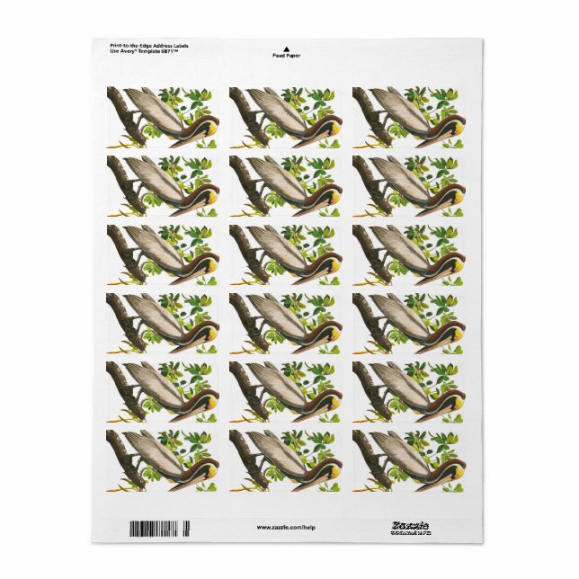 Étiquette Pélican Brown par John James Audubon (Feuille entière)