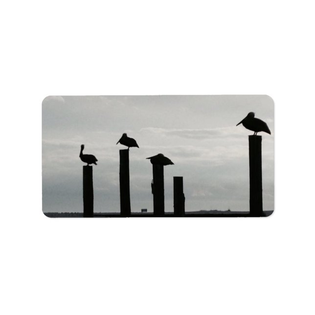 Étiquette pélicans sur la jetée (Devant)