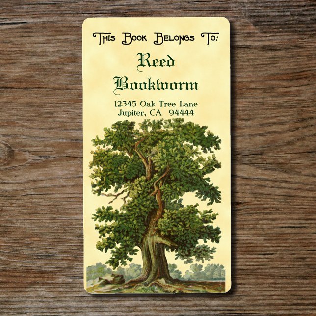 Étiquette personnalisé vintage Boak Tree (Vintage Oak Tree Bookplate label)