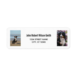 Étiquette Personnaliser 2 Photos avec Chien Moderne Adresse 