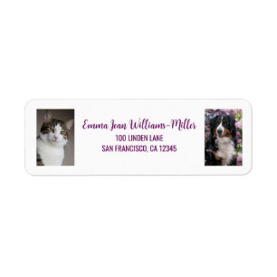 Étiquette Personnaliser 2 Photos Chat Chien moderne Adresse