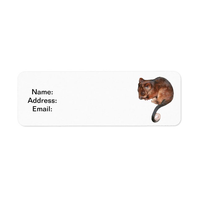 Étiquette Petit Bébé Singtail Possum (Devant)