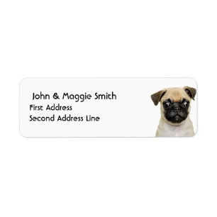 Étiquette Petit Carlin mignon Chien Chien animal animal anim