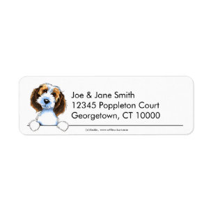 Étiquette Petit griffon Vendeen de basset propre et simple