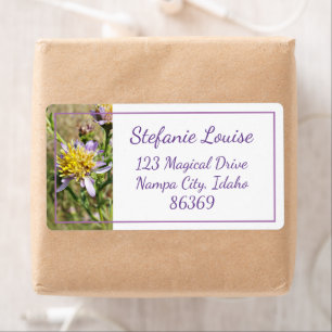 Étiquette Petites marguerites violettes