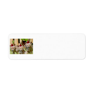 Étiquette Petits coyotes de Noël
