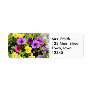 Étiquette Petunias