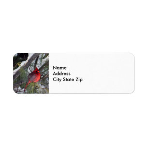 Étiquette Photo Cardinal Pine des neiges