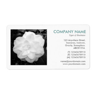 Étiquette Photo carré - Camelia blanche
