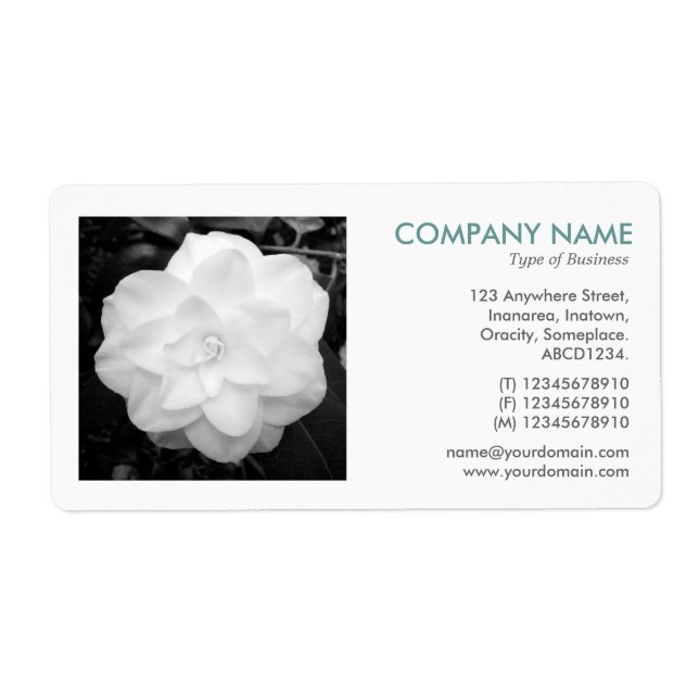 Étiquette Photo carré - Camelia blanche (Devant)