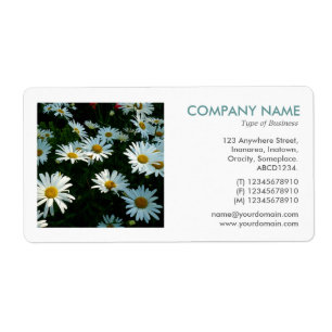 Étiquette Photo carré - Shasta Daisies