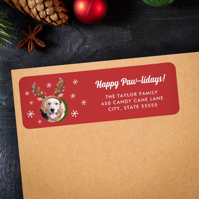 Étiquette Photo de chien avec Reindeer Antler Casquette Noël (Créateur téléchargé)