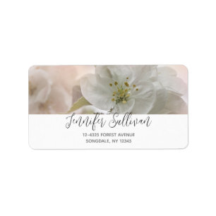 Étiquette Photo en fleurs de pomme blanche