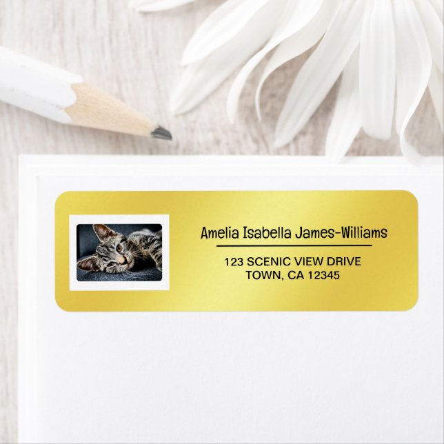 Étiquette Photo Pet Cat Elégant Moderne Adresse de retour Go (En situation)