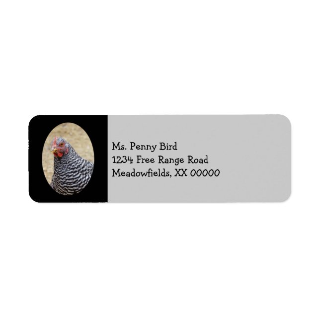 Étiquette Photographe de Plymouth Barred Rock (Devant)