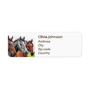 Étiquette Photographie merveilleuse d'étalon de chevaux