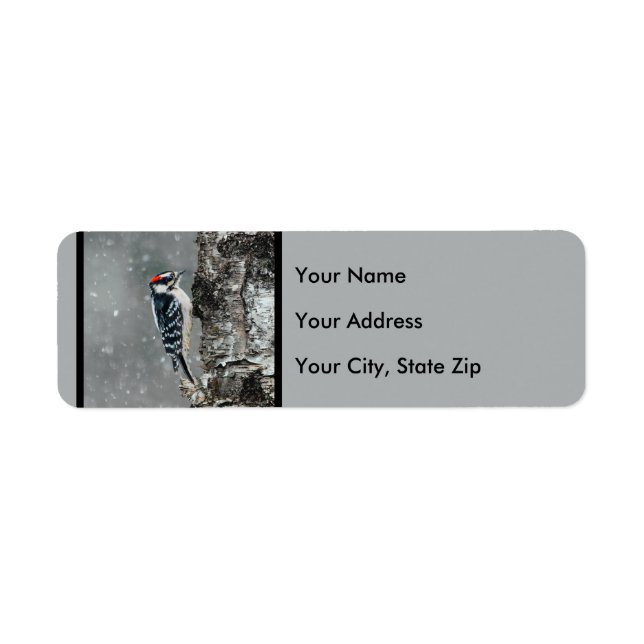 Étiquette Pic Downy en neige - Photo originale (Devant)