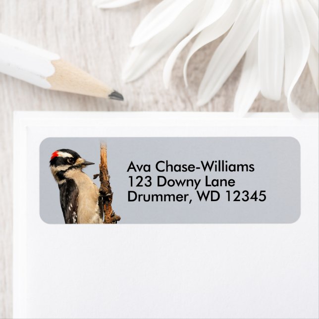 Étiquette Pic Downy mou sur arbre aux fruits (En situation)