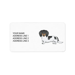 Étiquette Piebald Noir Et Tan Cheveux Long Dachshund Et Text