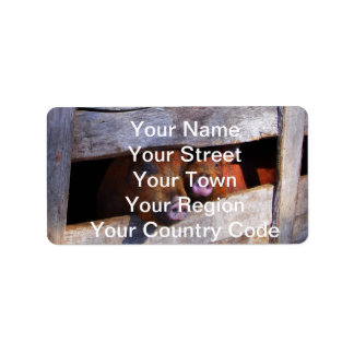 Étiquette Piggies d'observation de la paire de stylo