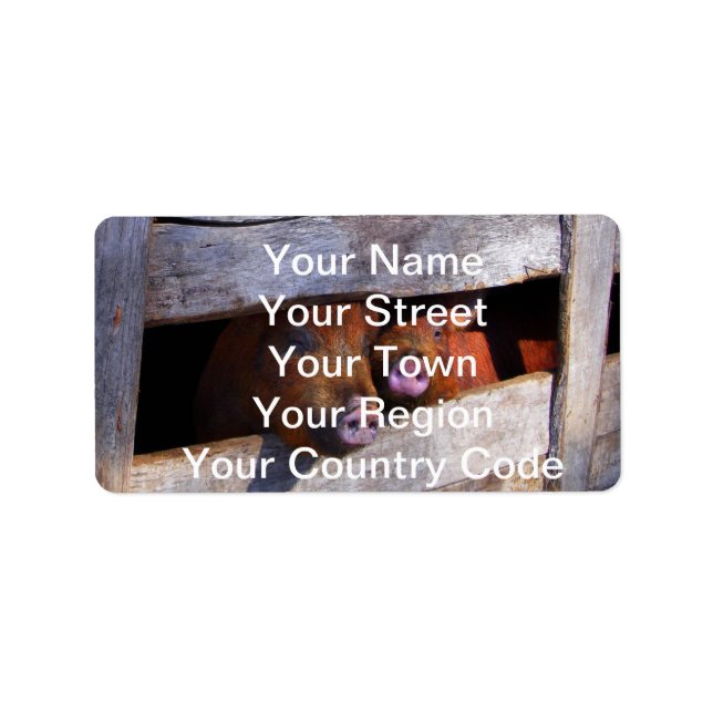 Étiquette Piggies d'observation de la paire de stylo (Devant)