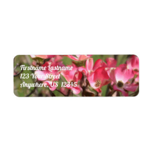 Étiquette Pink Dogwood Flower Blossoms Adresse de peinture