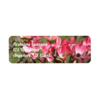Étiquette Pink Dogwood Flower Blossoms Adresse de peinture