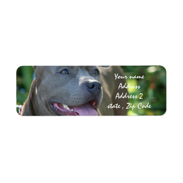 Étiquette Pitbull (Devant)