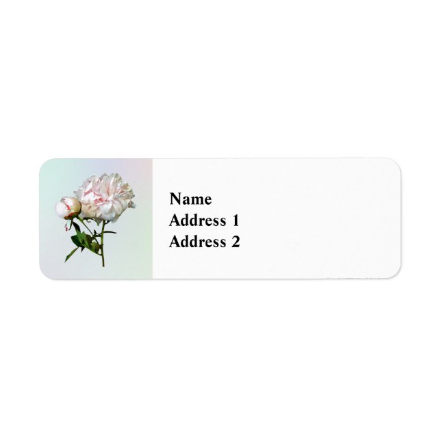 Étiquette Pivoine rose pâle et bouton (Devant)