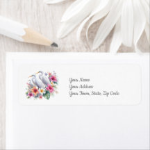 Plage côtière de l'île d'Aiguilles tropicales