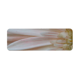 Étiquette Plante de la Fleur Cure