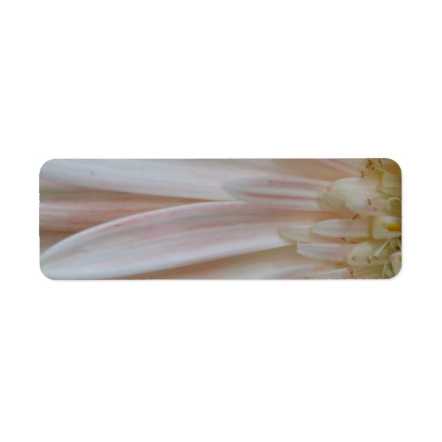 Étiquette Plante de la Fleur Cure (Devant)