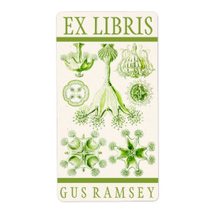 Étiquette Plaque de réservation Ernst Haeckel Stauromedusae