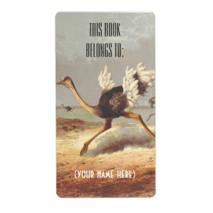 Étiquette Plaque d'illustration d'autruche colorée