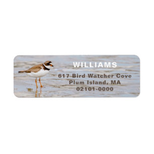 Étiquette Plover Shore Bird Adresse de retour