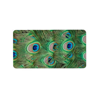 Étiquette Plumage de paon
