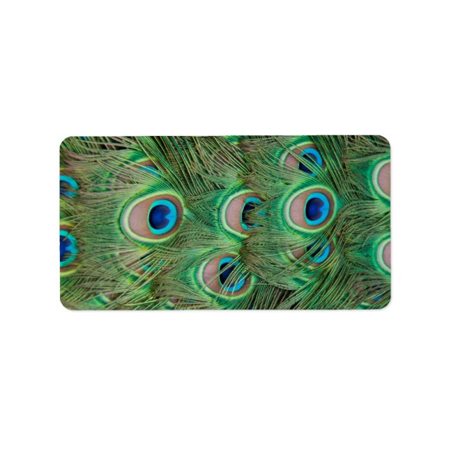 Étiquette Plumage de paon (Devant)